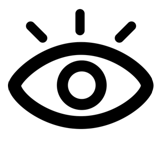 Vision